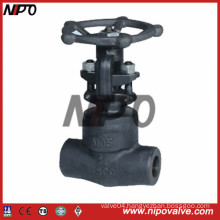 Female Threaded and Socket Welded Globe Valve